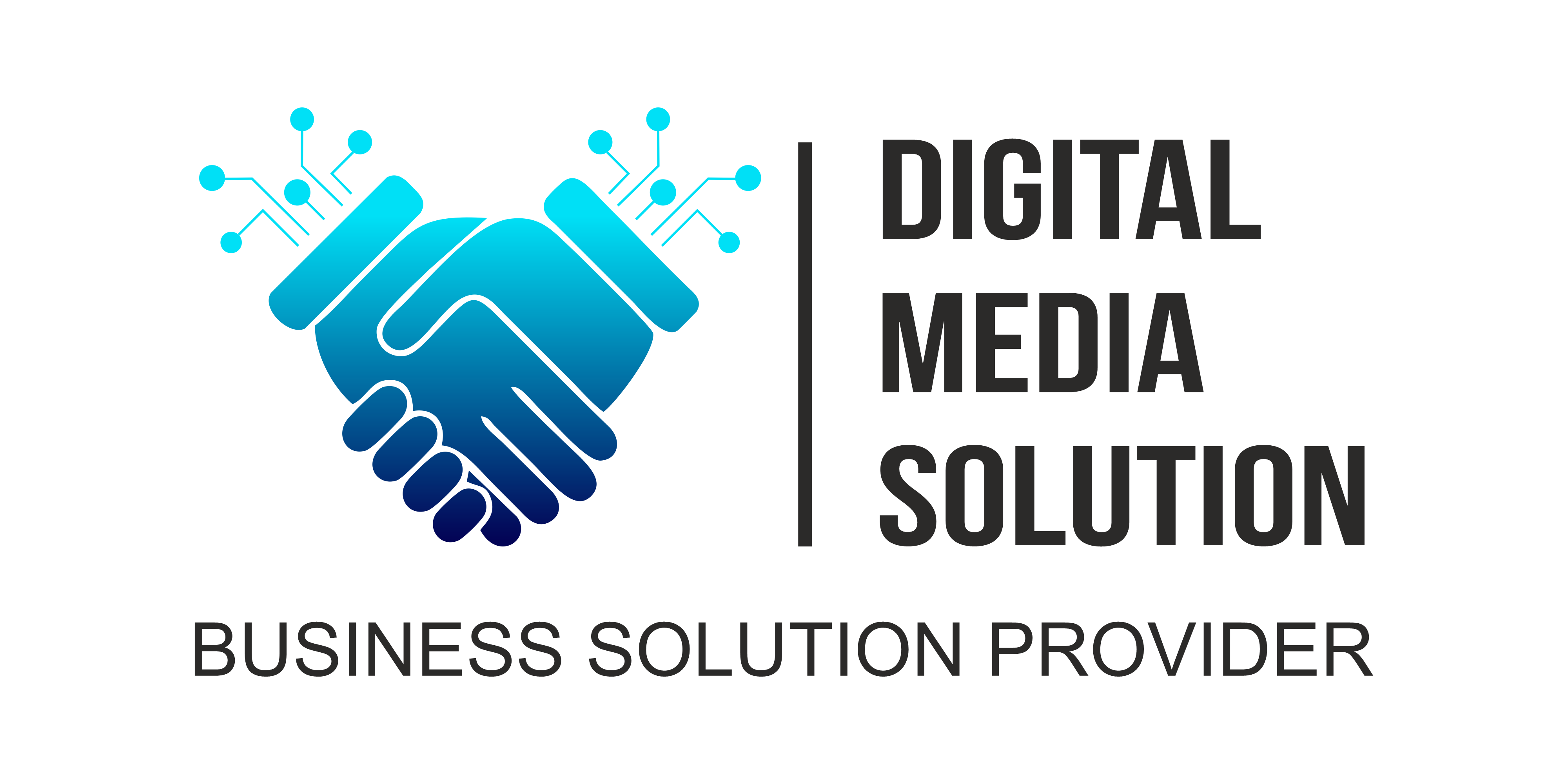 DIGITAL MEDIA SOLUTION